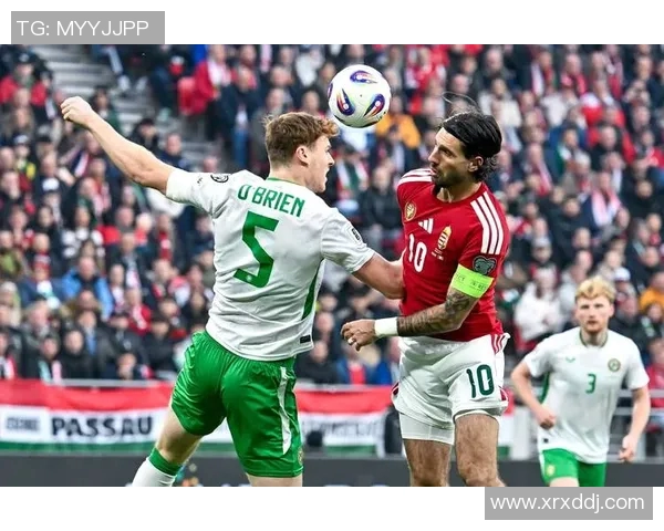 匈牙利与冰岛足球对决全方位分析及比赛预测展望